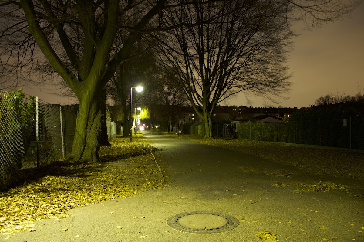 Rue dans la nuit illuminée par des réverbères et bordée d'arbres.
