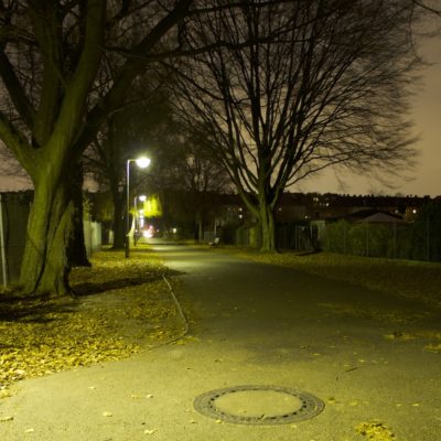 Rue dans la nuit illuminée par des réverbères et bordée d'arbres.